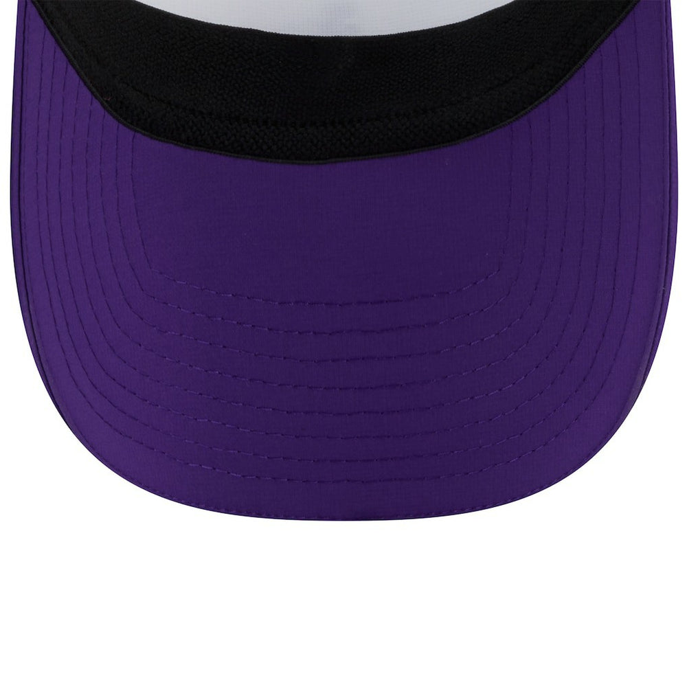 Minnesota Vikings 2025 NFL Training Camp Adjustable Visor | NFL Sale