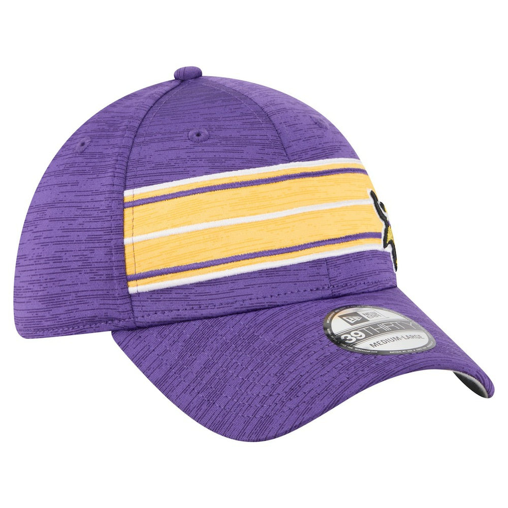Minnesota Vikings Stripes 39THIRTY Flex Hat | NFL Sale