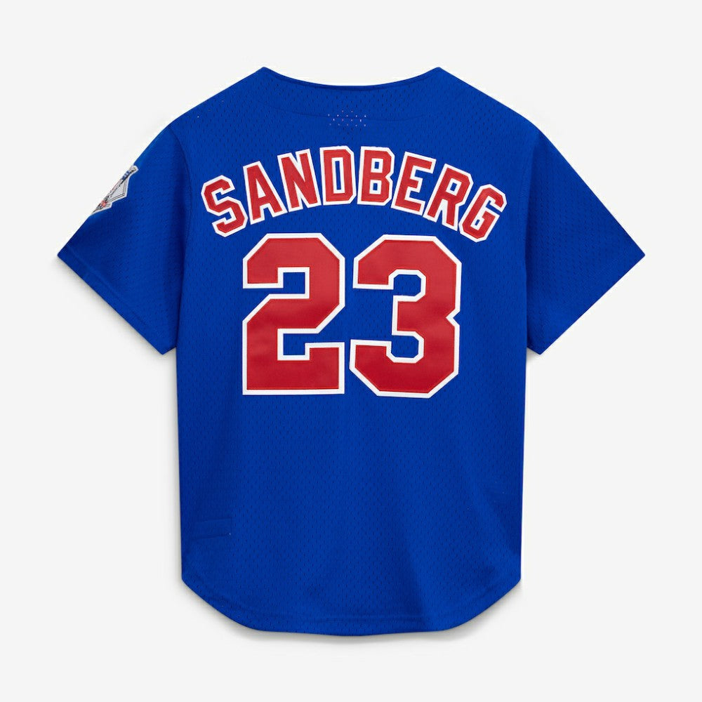Ryne Sandberg Chicago Cubs Mitchell & Ness Cooperstown Collection 1997 Mesh Batting Practice Button-Up Jersey - MLB Jerseys