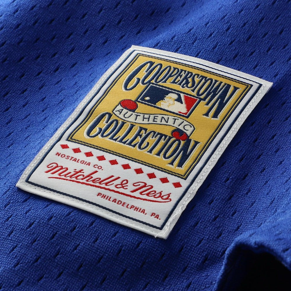 Ryne Sandberg Chicago Cubs Mitchell & Ness Cooperstown Collection 1997 Mesh Batting Practice Button-Up Jersey - MLB Jerseys