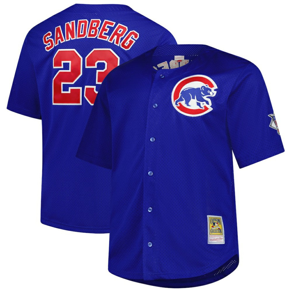 Ryne Sandberg Chicago Cubs Mitchell & Ness Big & Tall Cooperstown Mesh Batting Practice Jersey - MLB Jerseys