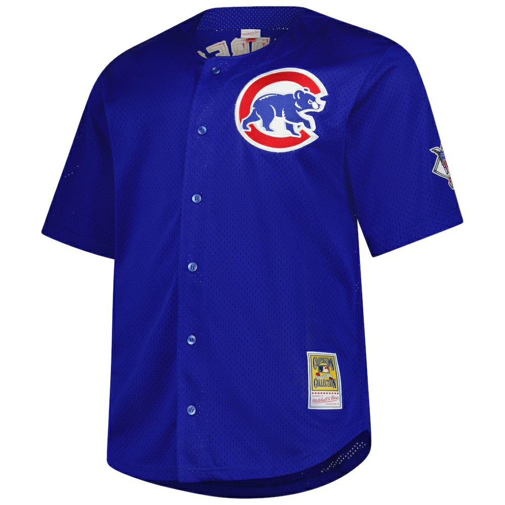 Ryne Sandberg Chicago Cubs Mitchell & Ness Big & Tall Cooperstown Mesh Batting Practice Jersey - MLB Jerseys