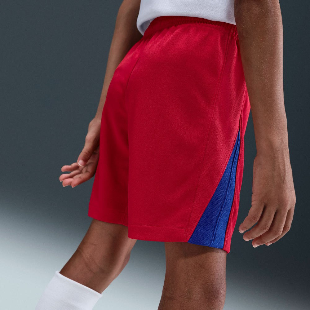 Paris Saint-Germain Youth 2025/26 Dri-FIT Stadium Shorts
