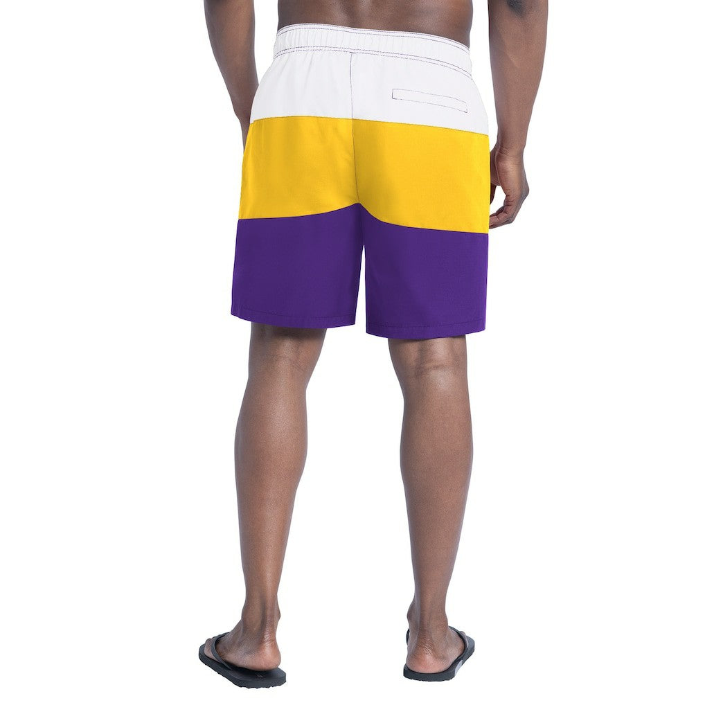 Minnesota Vikings G-III Sports by Carl Banks Sunrise Volley Swim Shorts | NFL New