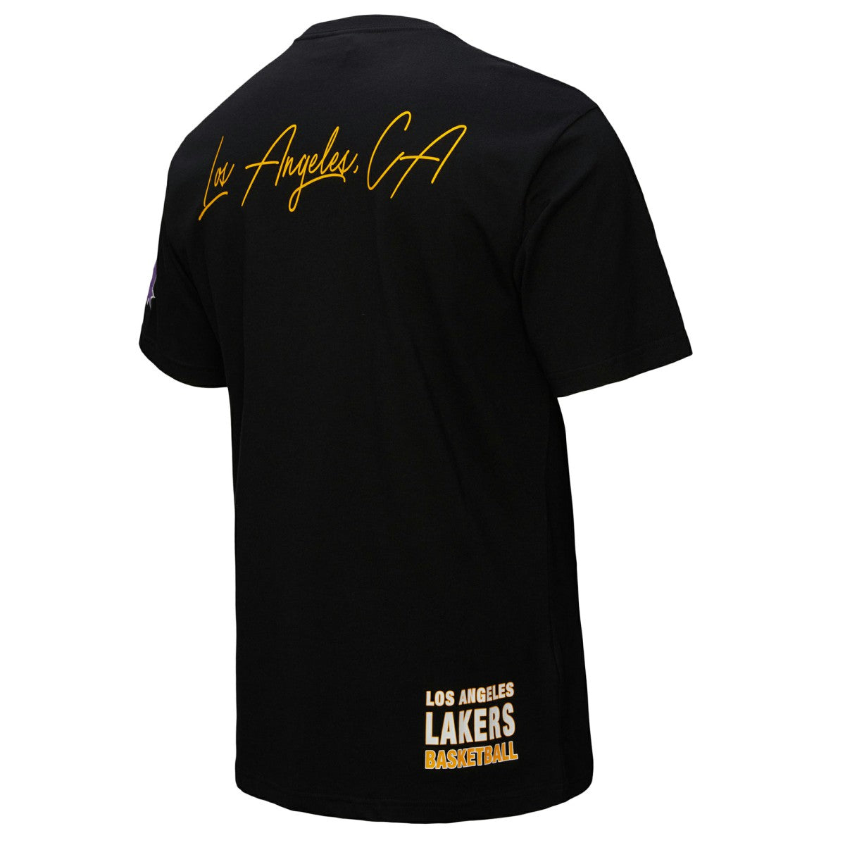 Black Los Angeles Lakers Black Out Collection Vintage Premium T-Shirt | NBA