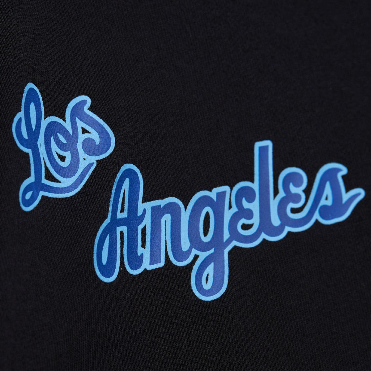Black Los Angeles Lakers Black Out Collection Vintage Premium T-Shirt | NBA