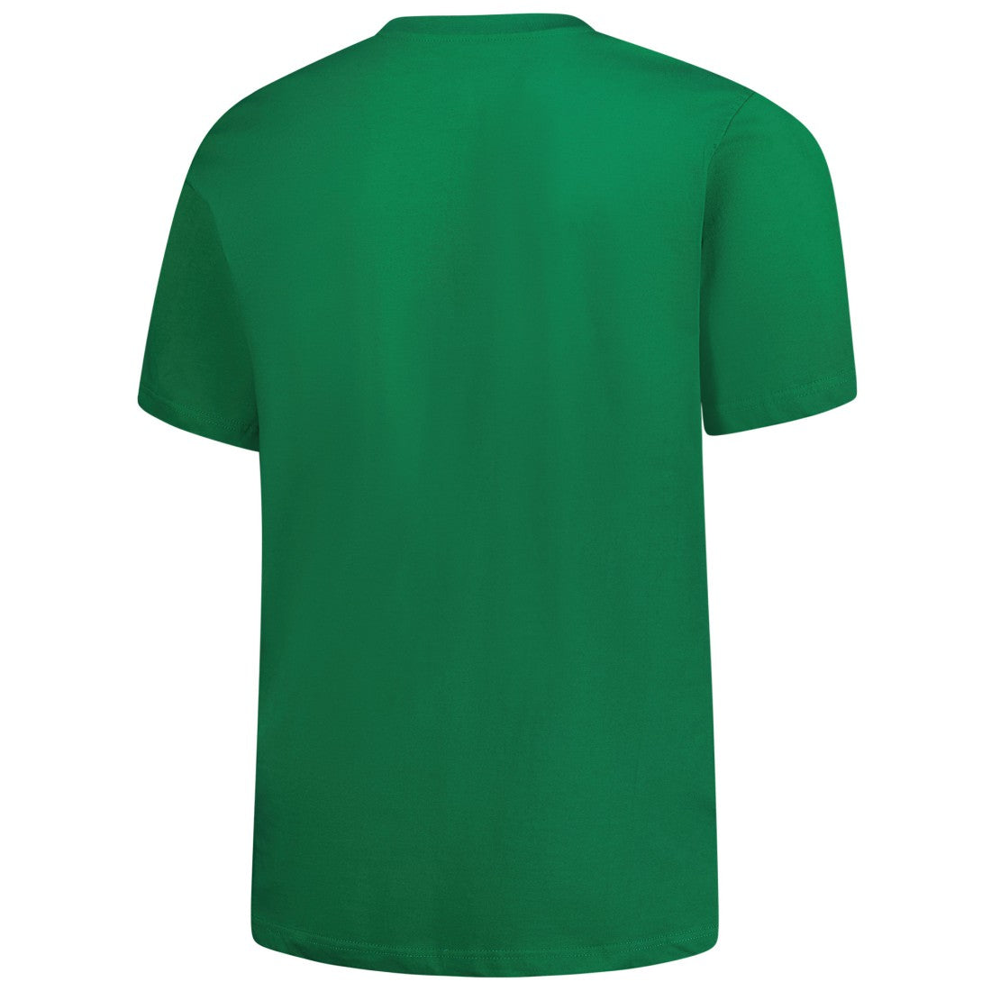Detroit Lions Big & Tall Celtic T-Shirt | NFL Near me