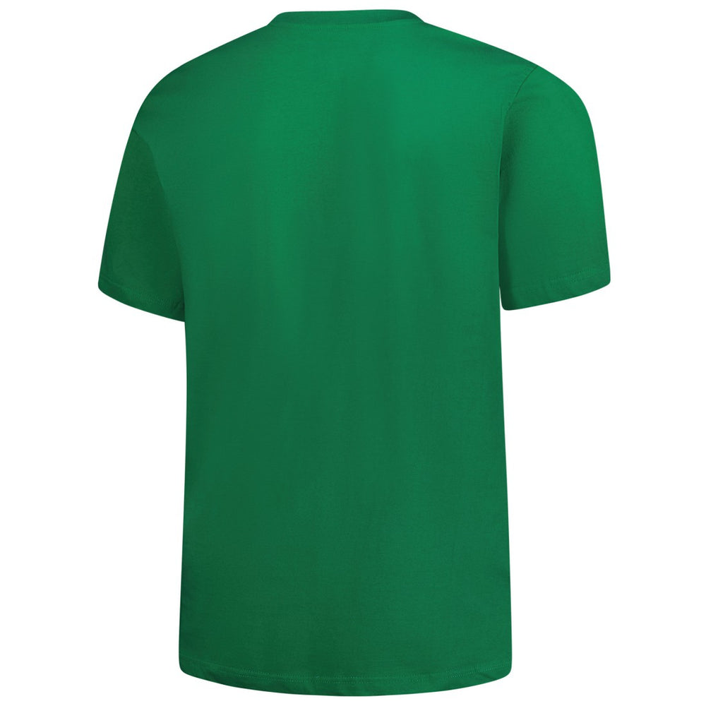 Detroit Lions Big & Tall Celtic T-Shirt | NFL Near me