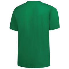 Detroit Lions Big & Tall Celtic T-Shirt | NFL Near me