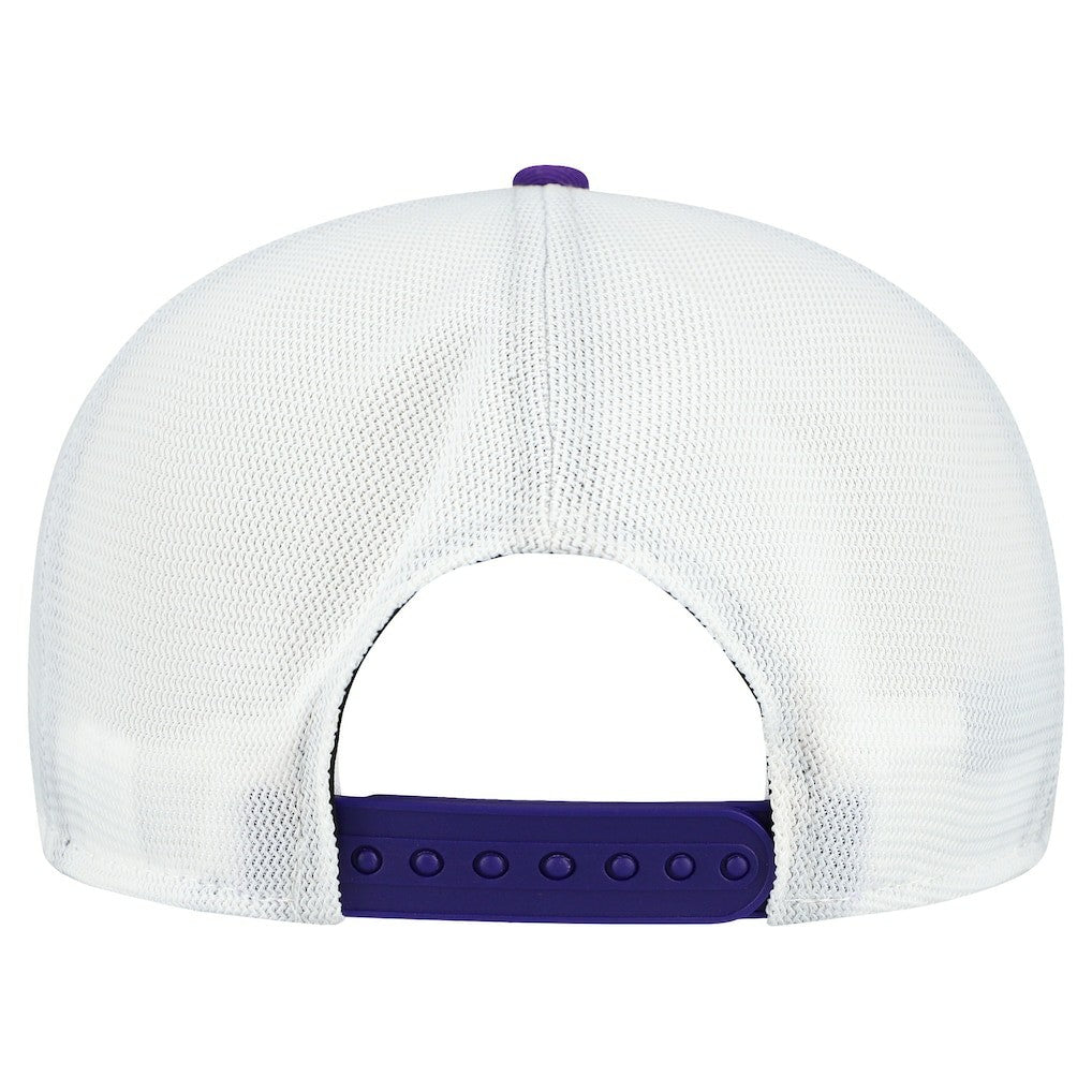 Minnesota Vikings Patch 19TWENTY Adjustable Hat | NFL Hot