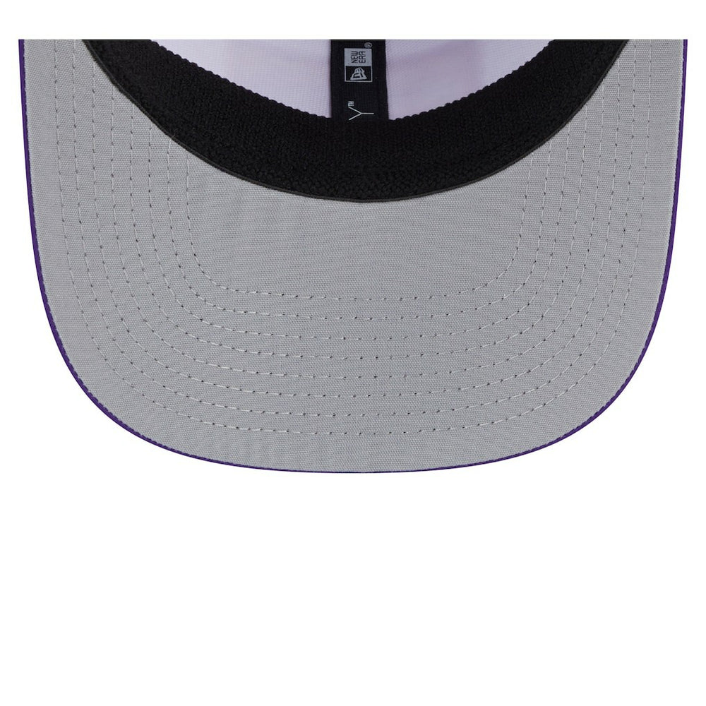 Minnesota Vikings Established Patch 9SEVENTY Adjustable Hat | NFL Sale
