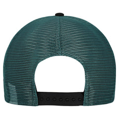 Philadelphia Eagles Banner A-Frame 9FIFTY Snapback Hat | NFL Near me