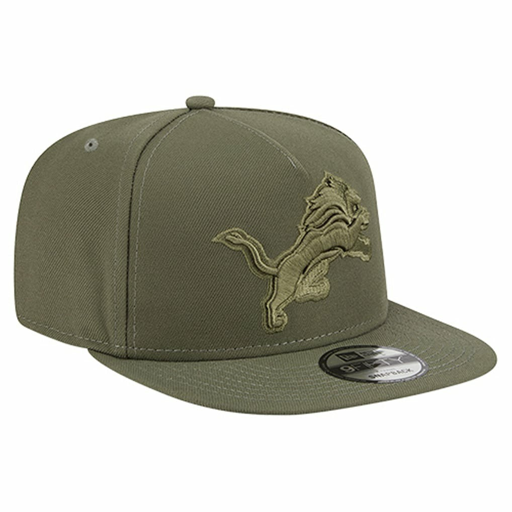 Detroit Lions Youth Color Pack A-Frame 9FIFTY Snapback Hat | NFL Discount