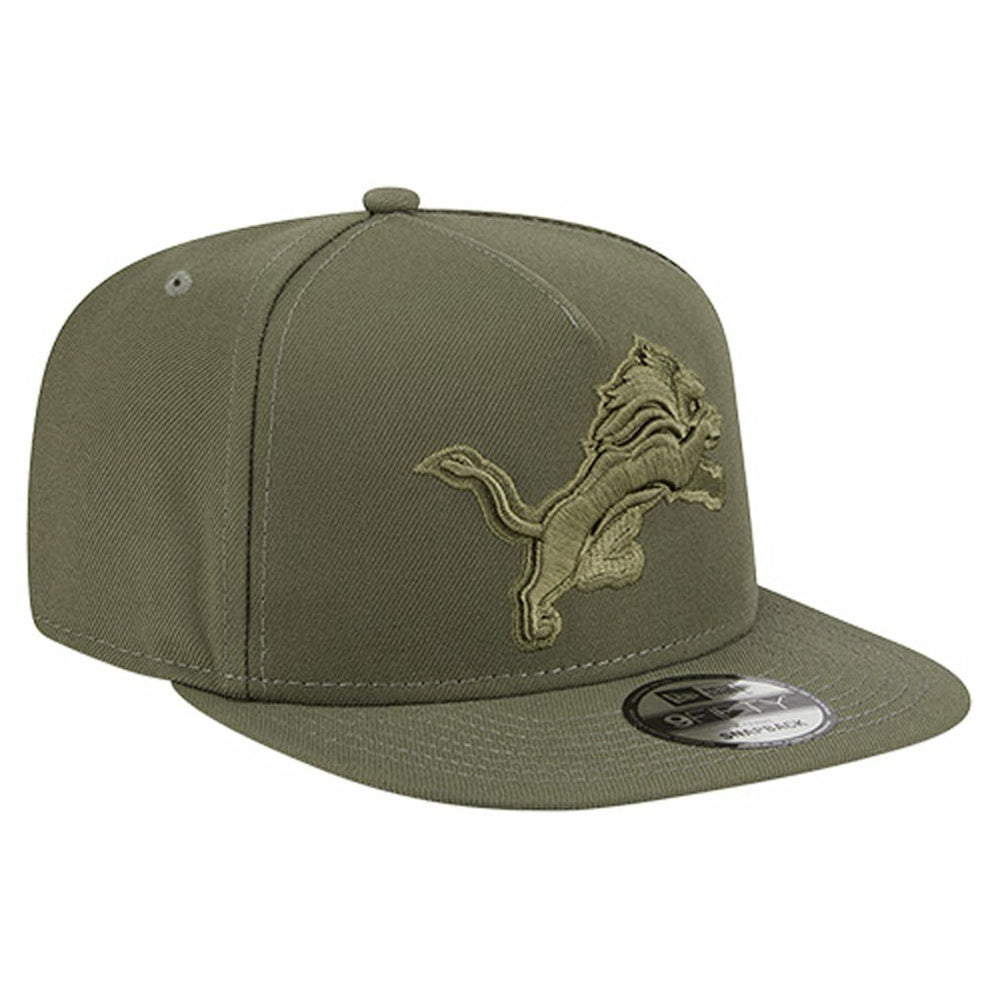 Detroit Lions Youth Color Pack A-Frame 9FIFTY Snapback Hat | NFL Discount