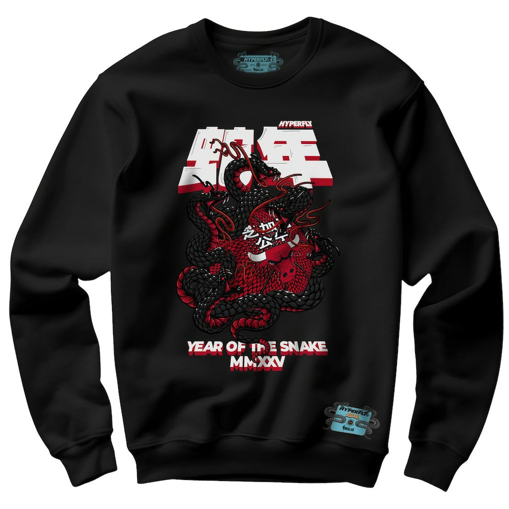 Black Chicago Bulls NBALab x Hyperfly Unisex Year of the Snake Lunar New Year Collection Sweatshirt | NBA