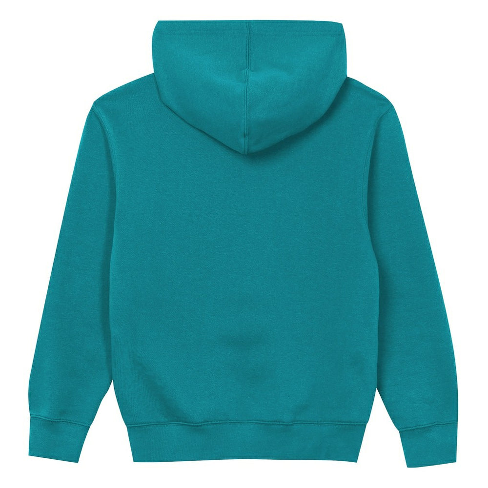 Miami Dolphins Outerstuff Preschool Back to Basics Hoodie | NFL On sale