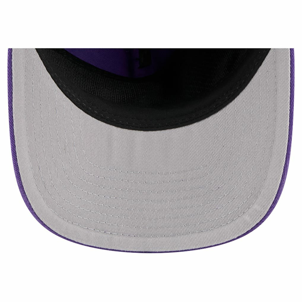 Minnesota Vikings Team 19TWENTY Adjustable Hat | NFL Near me