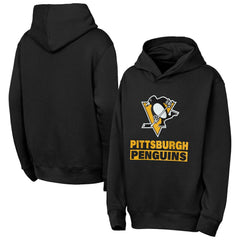 Pittsburgh Penguins Outerstuff Youth Back to Basics Hoodie -  NHL Hoodies