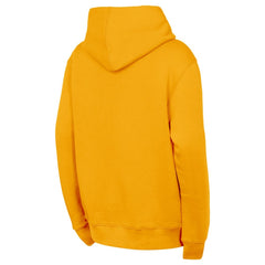 Nashville Predators Outerstuff Youth Back to Basics Hoodie -  NHL Hoodies