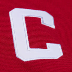 Steve Yzerman Detroit Red Wings Mitchell & Ness 1997 Name & Number Premium Pullover Hoodie -  NHL Hoodies