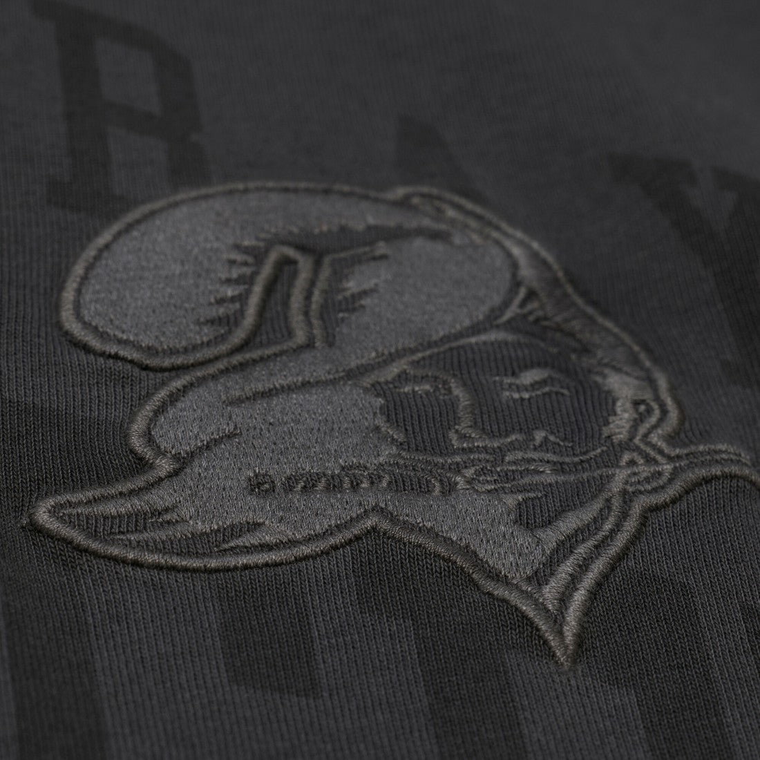Tampa Bay Buccaneers Downtown Collection Premium Vintage Logo T-Shirt | NFL Near me