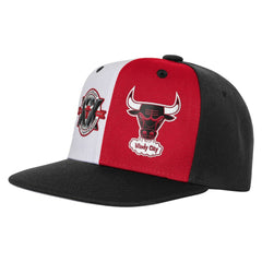 Black Chicago Bulls Youth 20th Anniversary Duo Front Snapback Hat | NBA