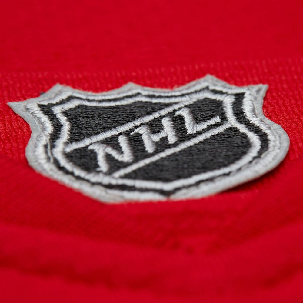 Dominik Hasek Detroit Red Wings Mitchell & Ness 2007-08 Power Play Jersey -  NHL Jerseys