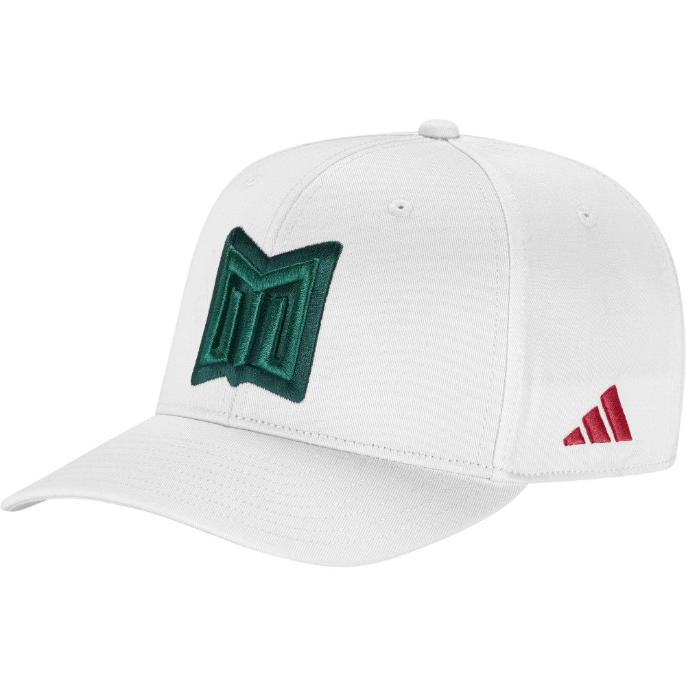 Mexico National Team Unisex FIFA x World Cup Team Snapback Hat