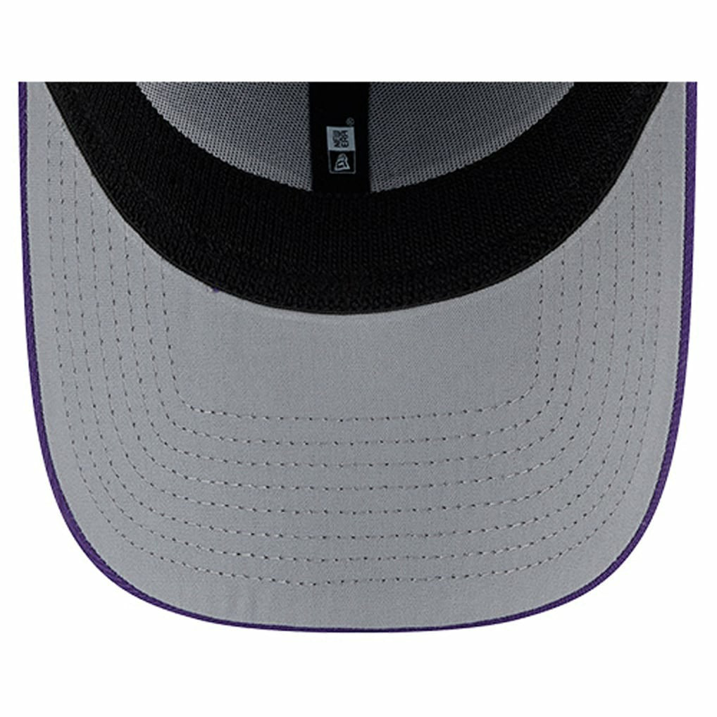 Minnesota Vikings Stripes 39THIRTY Flex Hat | NFL Online