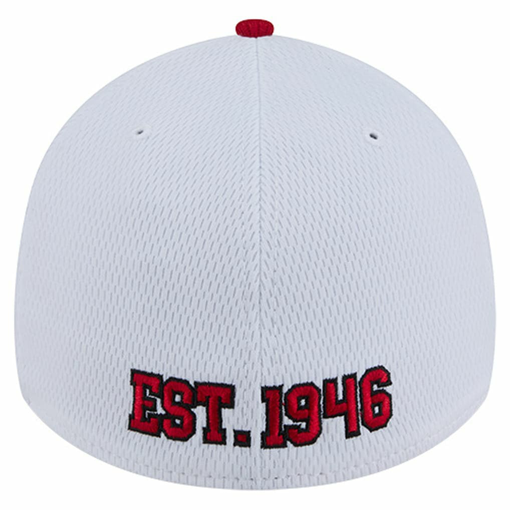 San Francisco 49ers Dashmark Rays 39THIRTY Flex Hat | NFL New