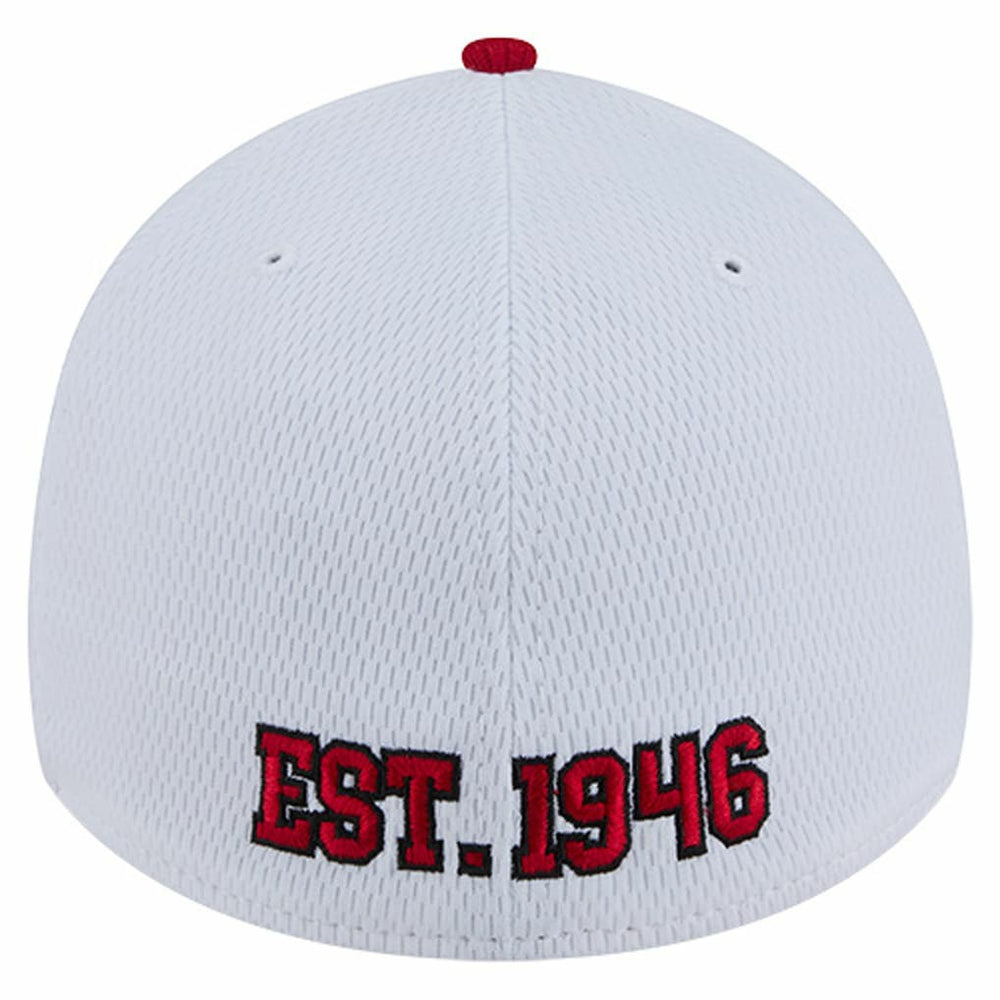 San Francisco 49ers Dashmark Rays 39THIRTY Flex Hat | NFL New
