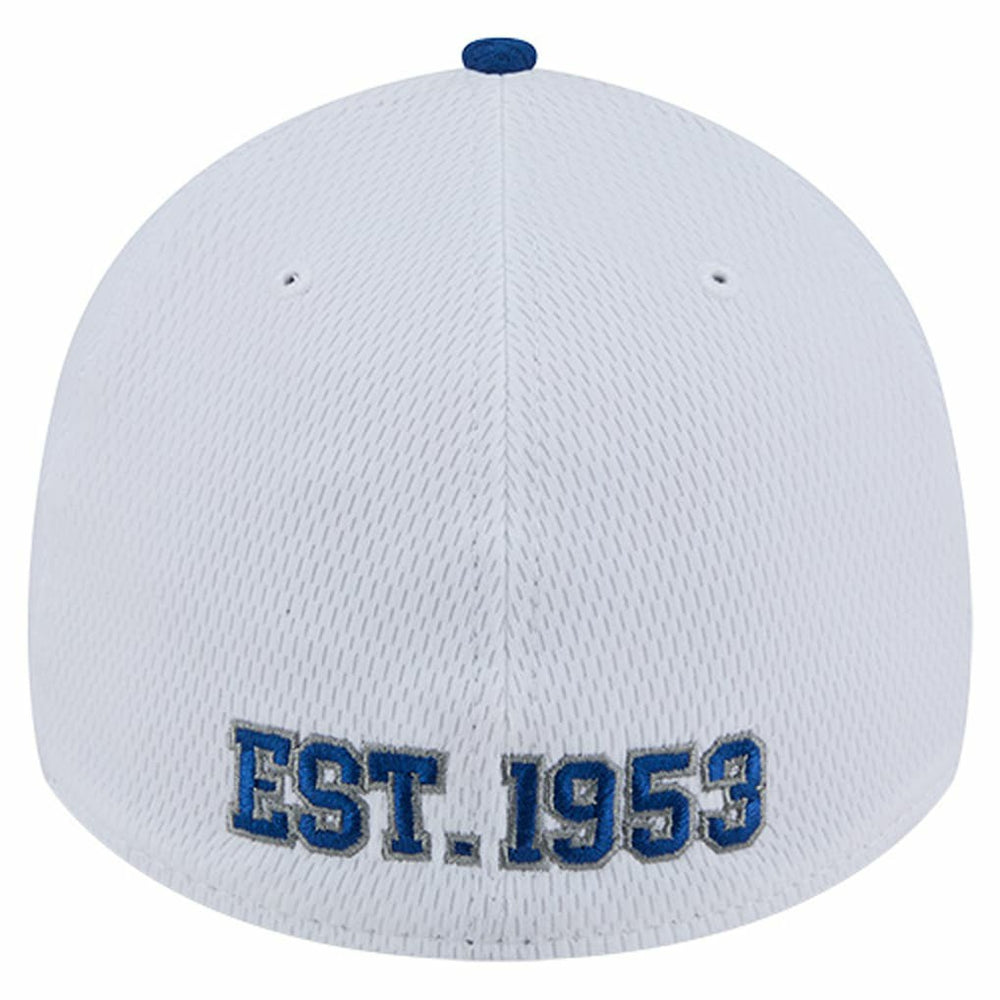 Indianapolis Colts Dashmark Rays 39THIRTY Flex Hat | NFL Near me