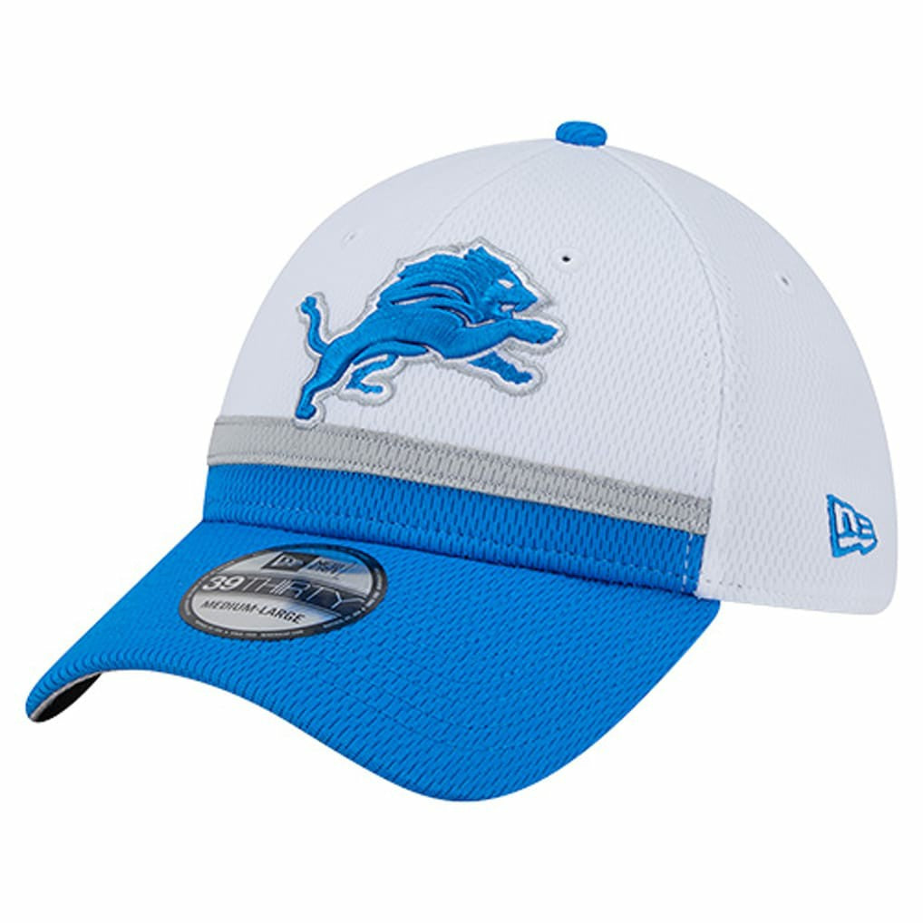 Detroit Lions Dashmark Rays 39THIRTY Flex Hat | NFL New
