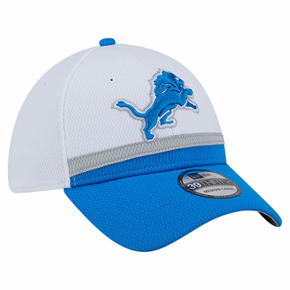 Detroit Lions Dashmark Rays 39THIRTY Flex Hat | NFL New
