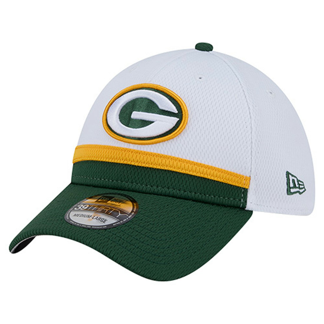Green Bay Packers Dashmark Rays 39THIRTY Flex Hat | NFL New