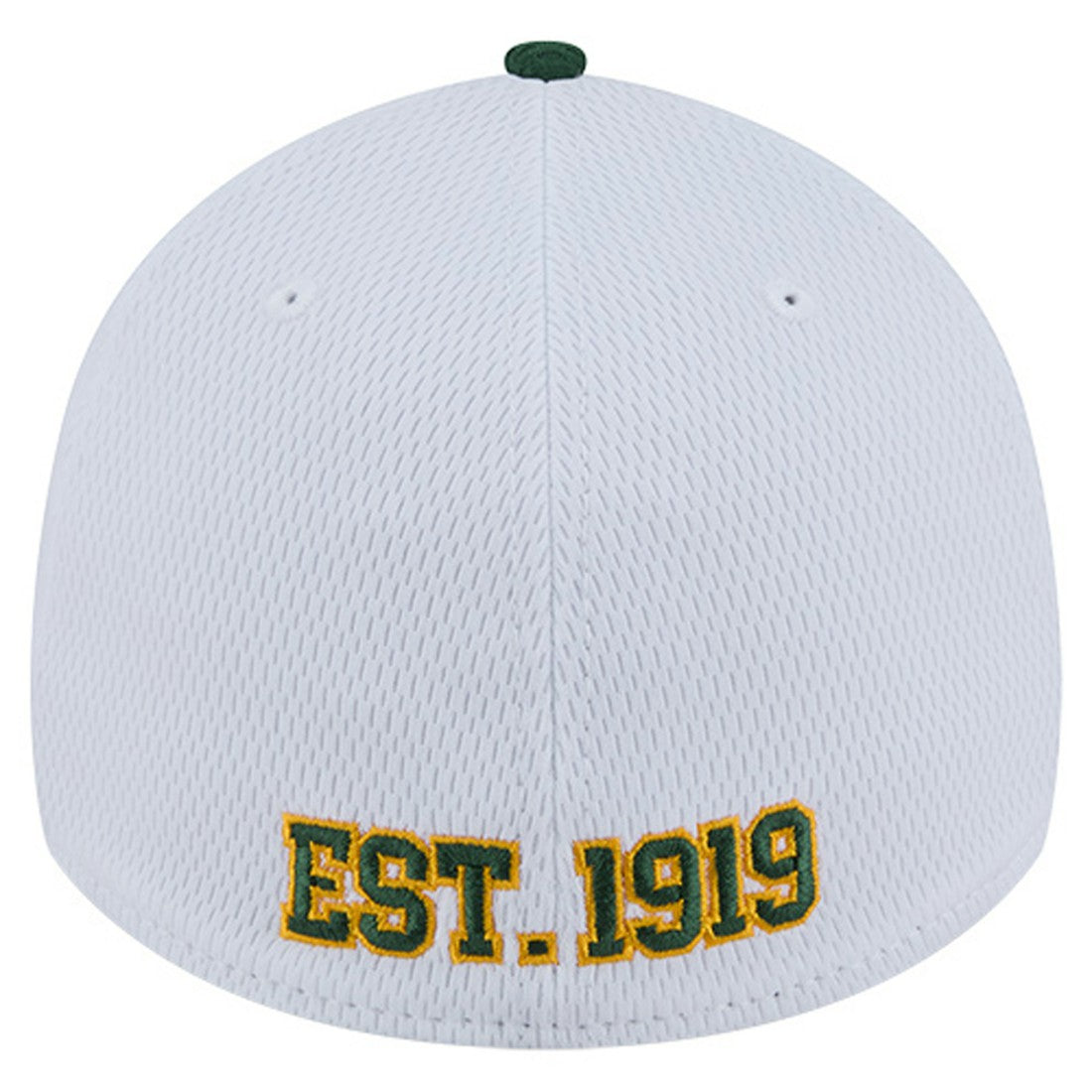 Green Bay Packers Dashmark Rays 39THIRTY Flex Hat | NFL New