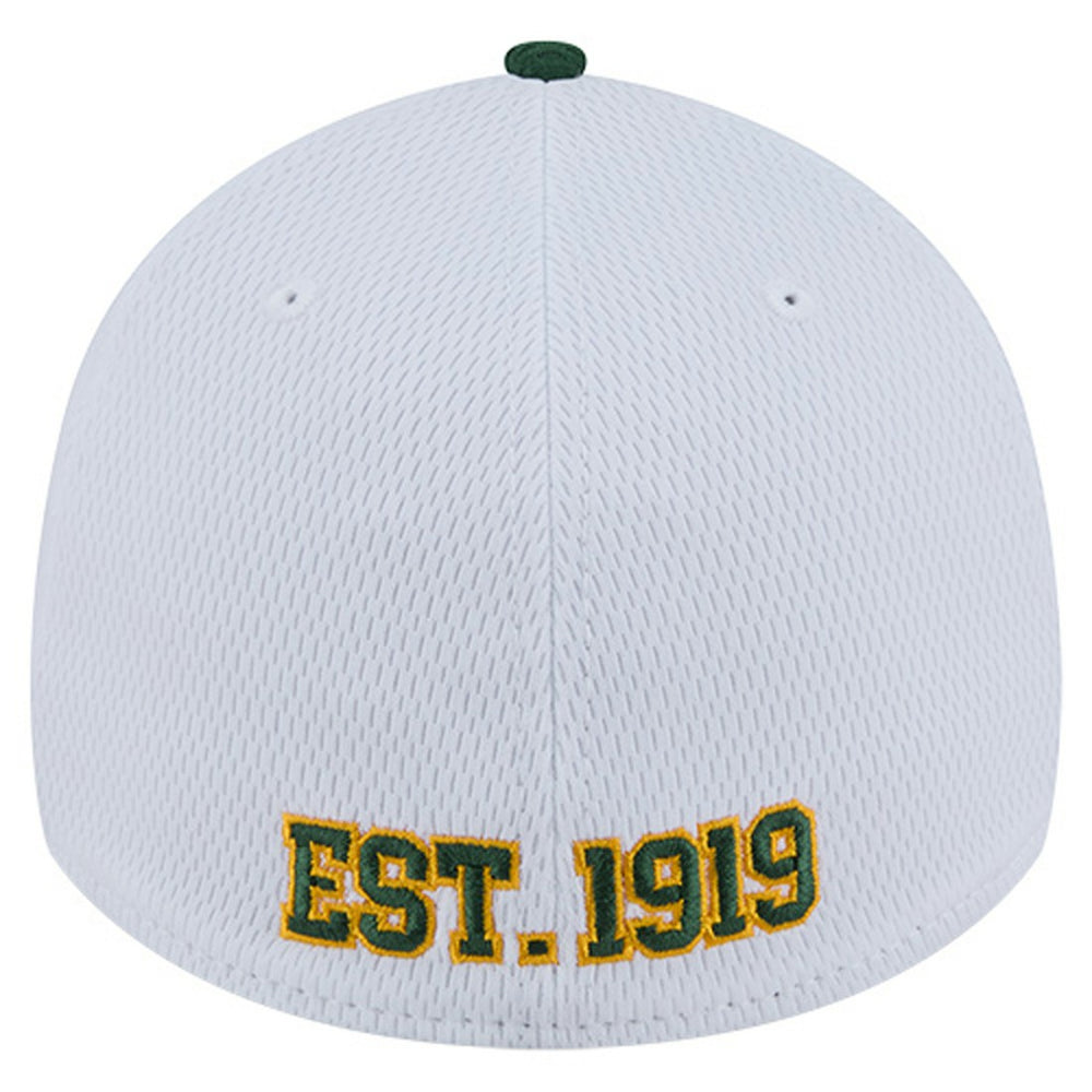 Green Bay Packers Dashmark Rays 39THIRTY Flex Hat | NFL New