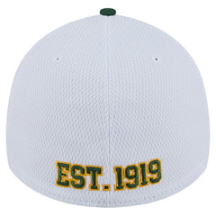 Green Bay Packers Dashmark Rays 39THIRTY Flex Hat | NFL New