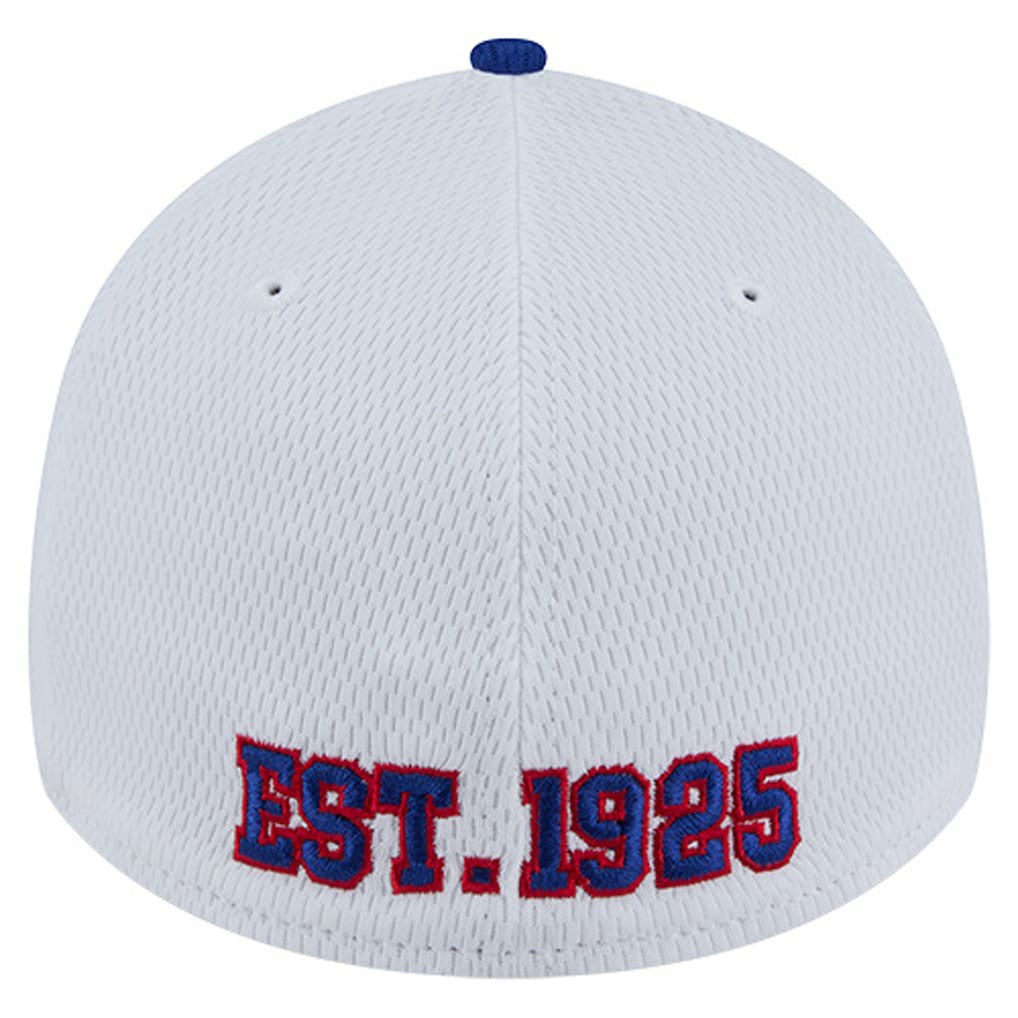 New York Giants Dashmark Rays 39THIRTY Flex Hat | NFL Hot