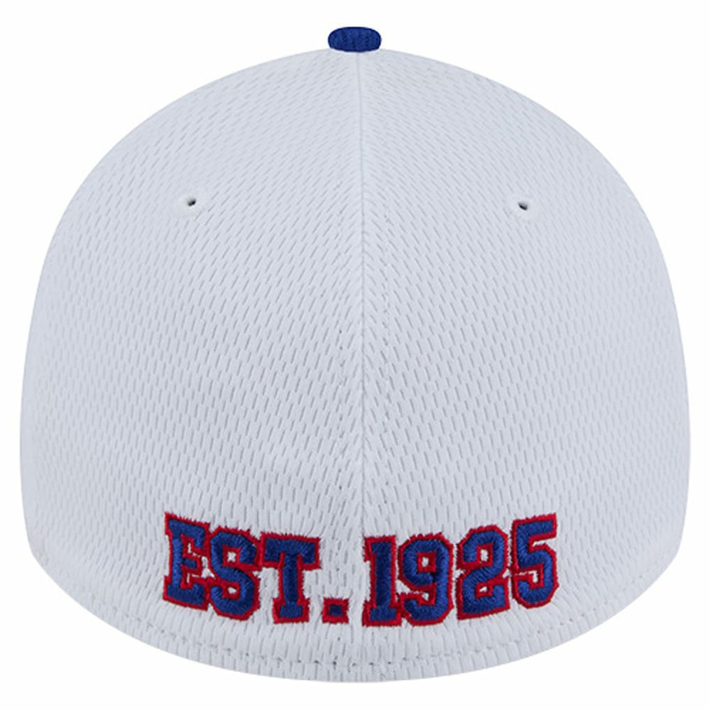 New York Giants Dashmark Rays 39THIRTY Flex Hat | NFL Hot