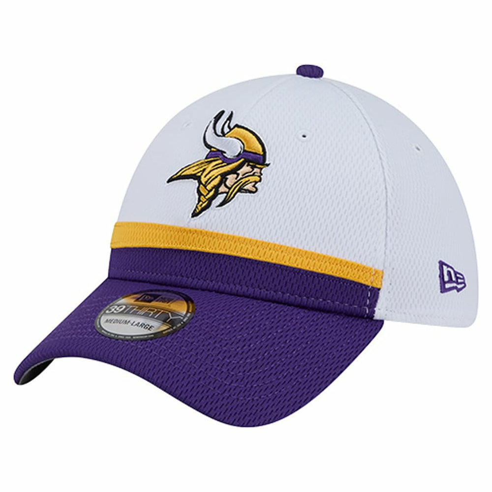 Minnesota Vikings Dashmark Rays 39THIRTY Flex Hat | NFL Online