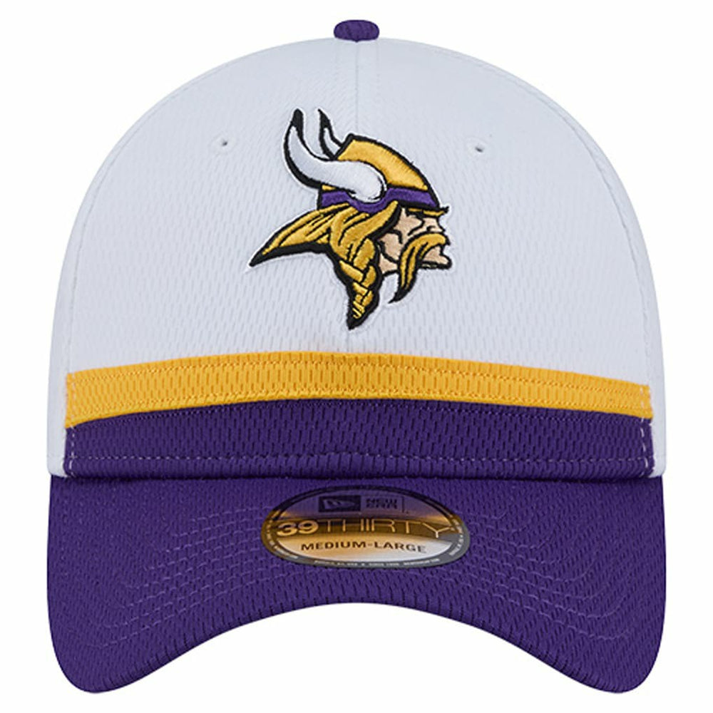 Minnesota Vikings Dashmark Rays 39THIRTY Flex Hat | NFL Online