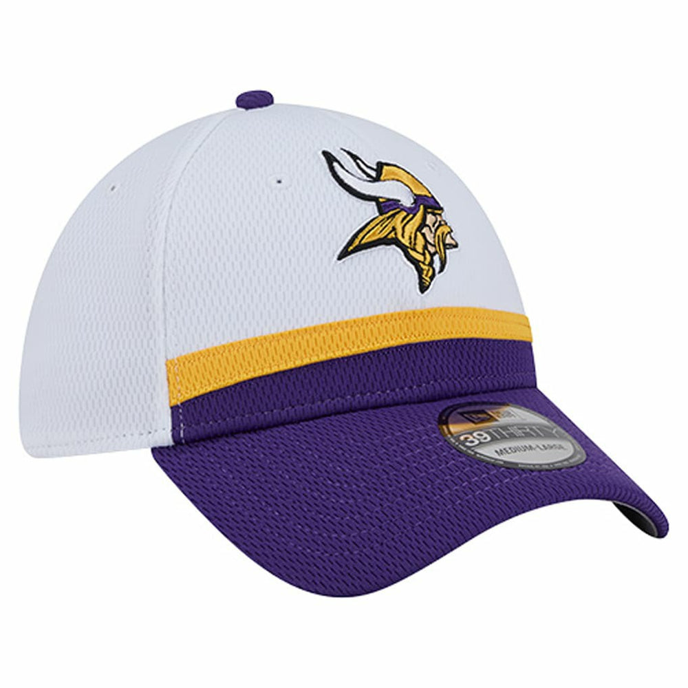 Minnesota Vikings Dashmark Rays 39THIRTY Flex Hat | NFL Online