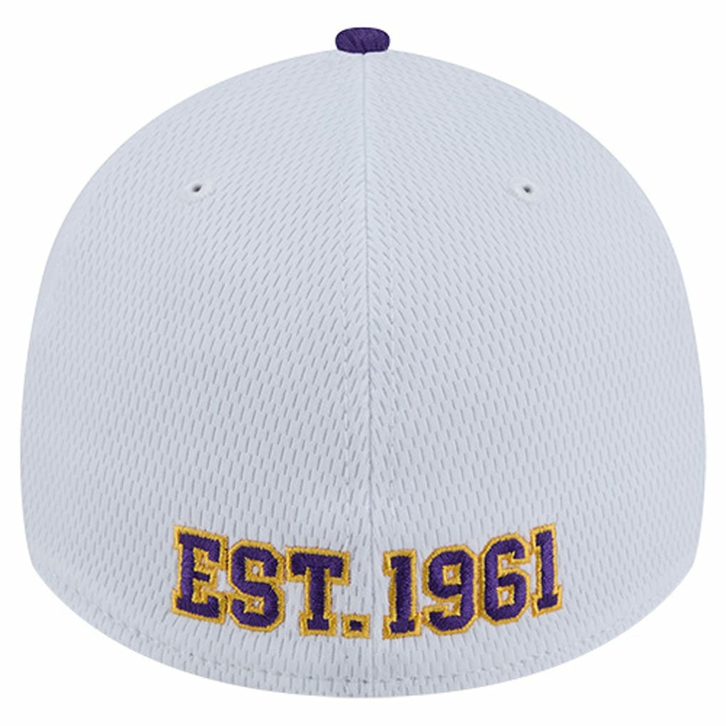 Minnesota Vikings Dashmark Rays 39THIRTY Flex Hat | NFL Online