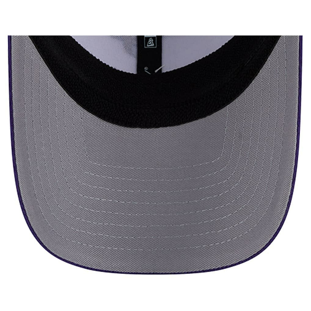 Minnesota Vikings Dashmark Rays 39THIRTY Flex Hat | NFL Online
