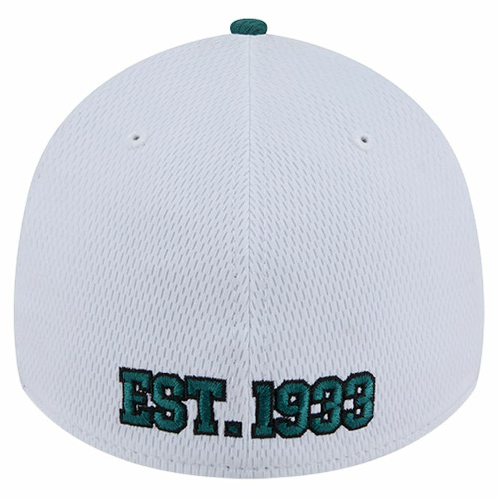 Philadelphia Eagles Dashmark Rays 39THIRTY Flex Hat | NFL Discount