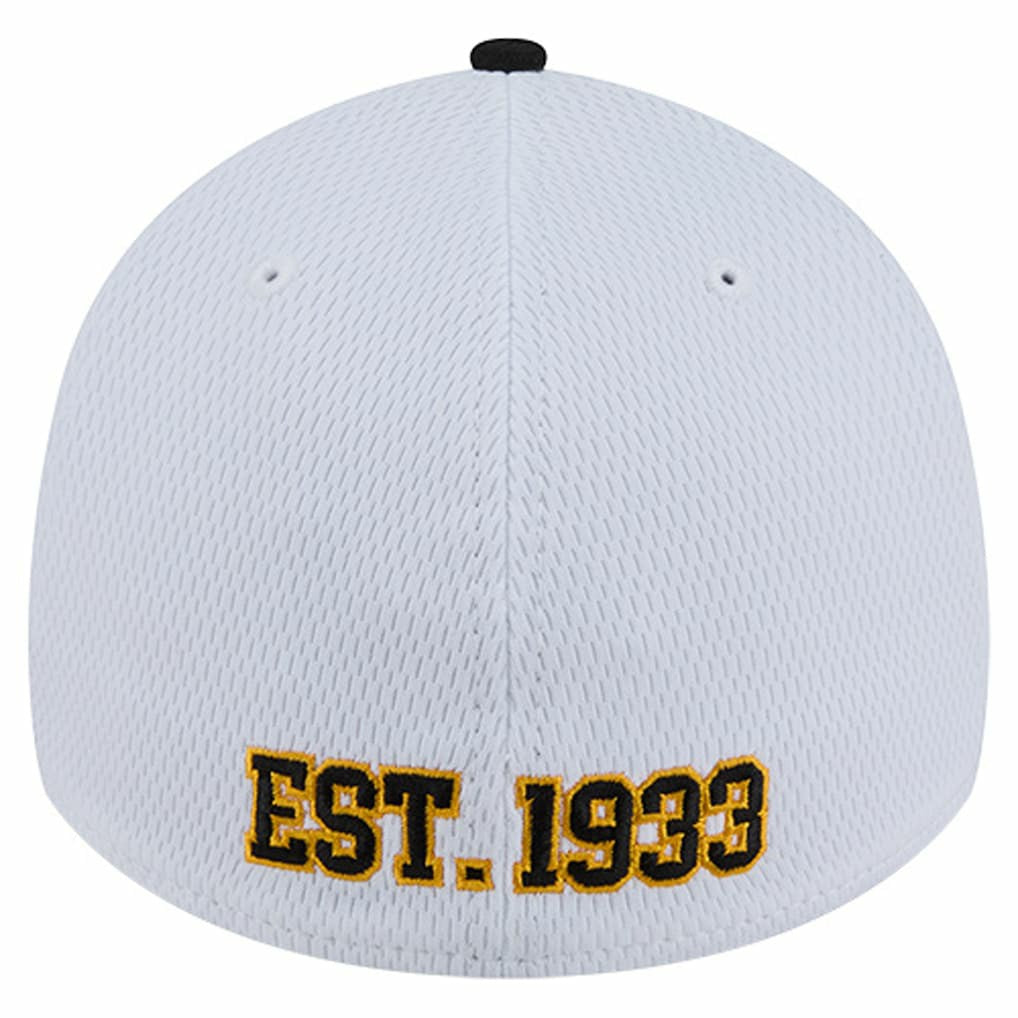Pittsburgh Steelers Dashmark Rays 39THIRTY Flex Hat | NFL New