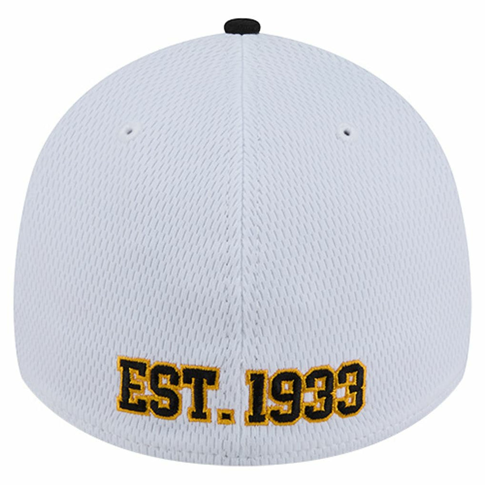 Pittsburgh Steelers Dashmark Rays 39THIRTY Flex Hat | NFL New