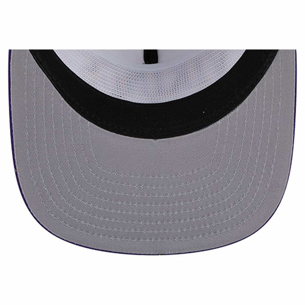 Minnesota Vikings Argyle 19TWENTY Adjustable Hat | NFL Near me