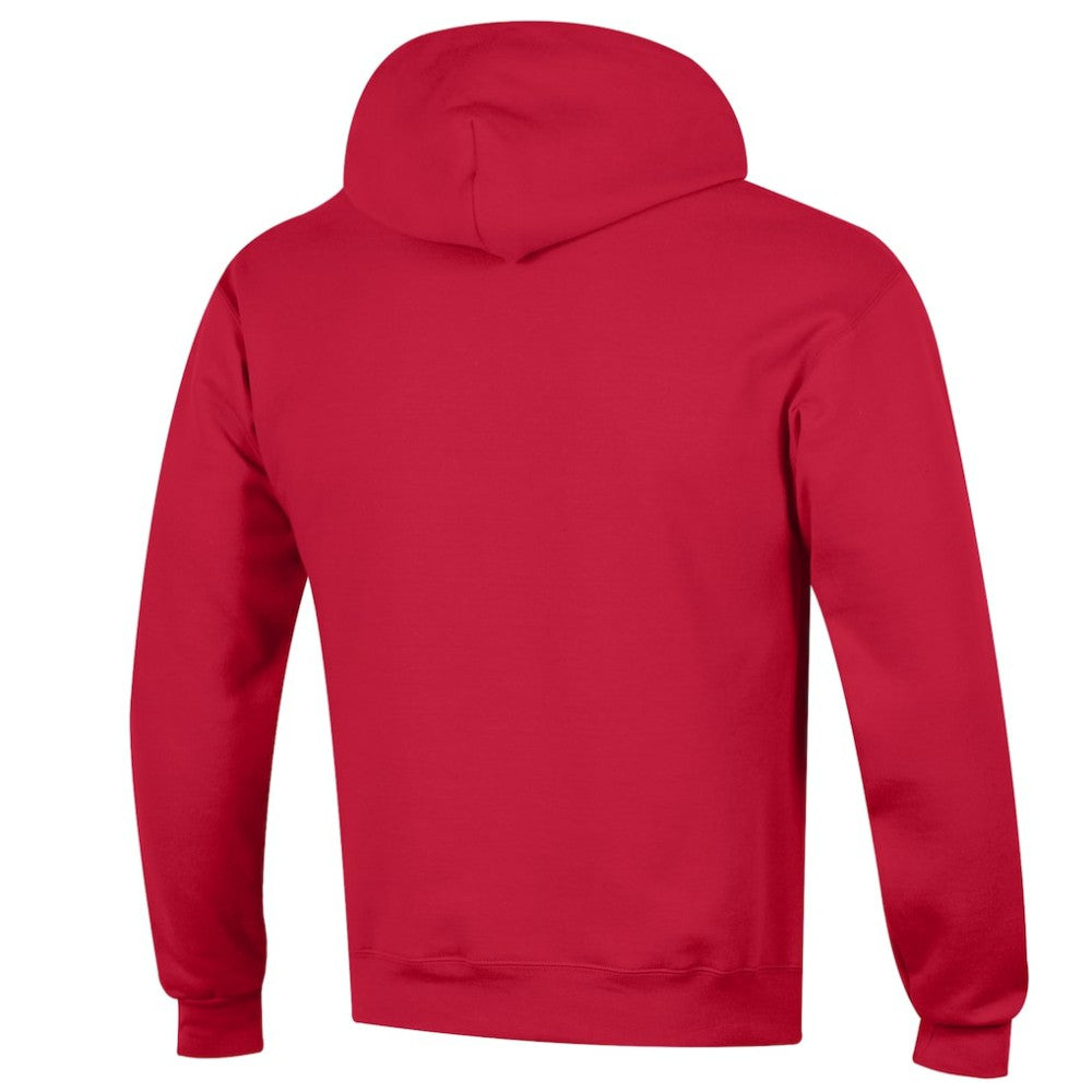 Florida Panthers Champion Primary Logo 1-Hit Pullover Hoodie -  NHL Hoodies